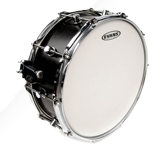 evans g1 snare