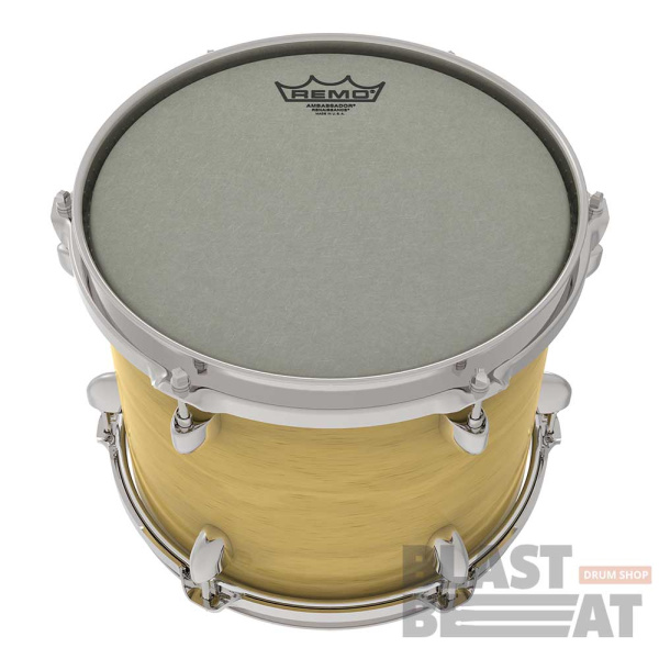 AMBASSADOR-Renaissance