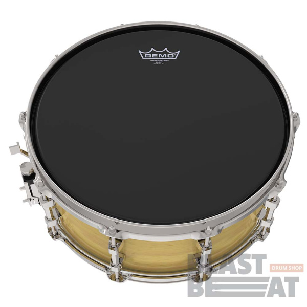 AmbassadorEbonySnare