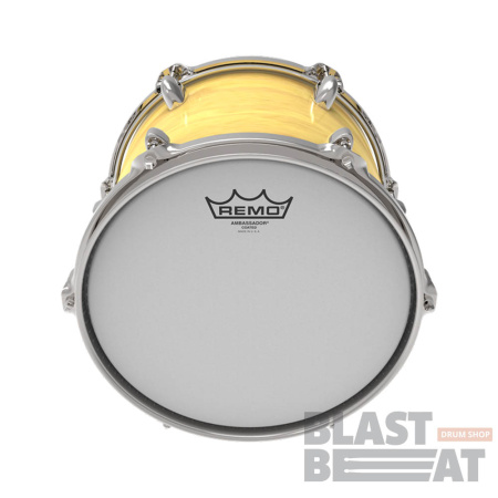 AMBASSADOR-Coated-Tom1
