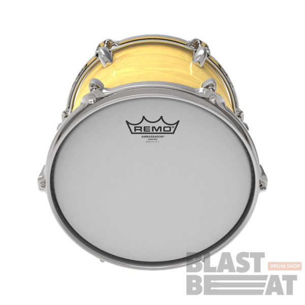 AMBASSADOR-Coated-Tom1