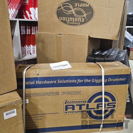 Ludwig_Evolution_Maple_2