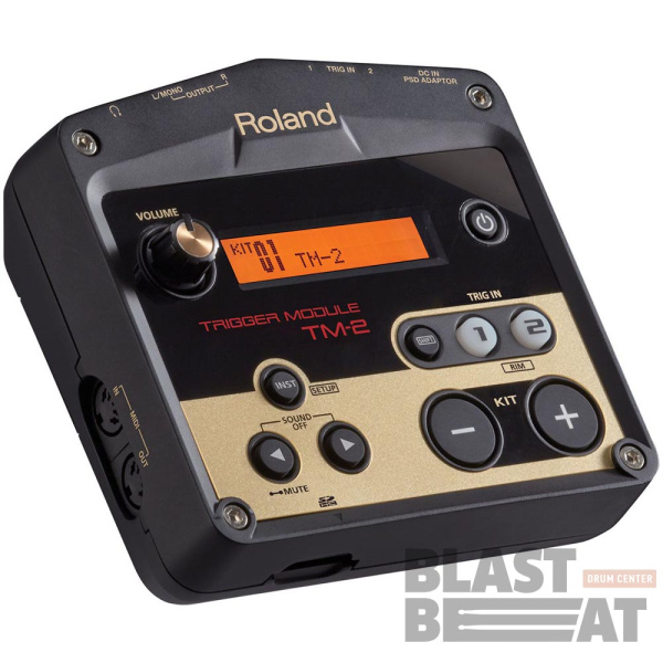 ROLAND_TM-2_1