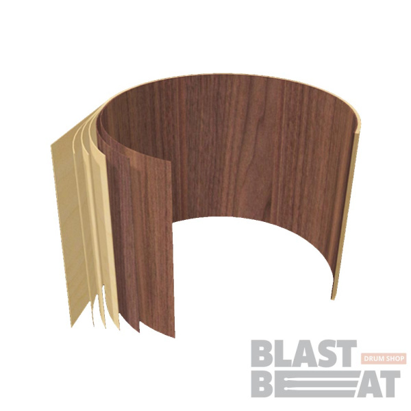 feat_WalnutBirch_Shell