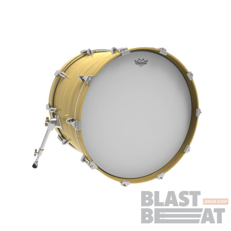 AMBASSADOR-Coated-Bass