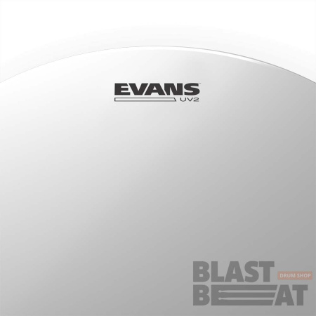 2020_UV2_Head