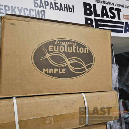 Ludwig_Evolution_Maple_1