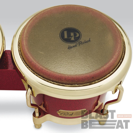 LP794V-ARG-2
